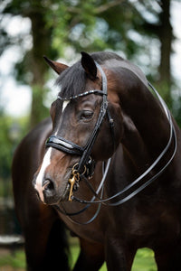 HB Showtime Special for You Stang & Trens - Maddelin Equestrian HB