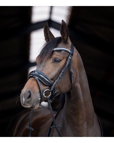 HB Showtime Stockholm Trenshoofdstel Trenshoofdstellen - Maddelin Equestrian HB