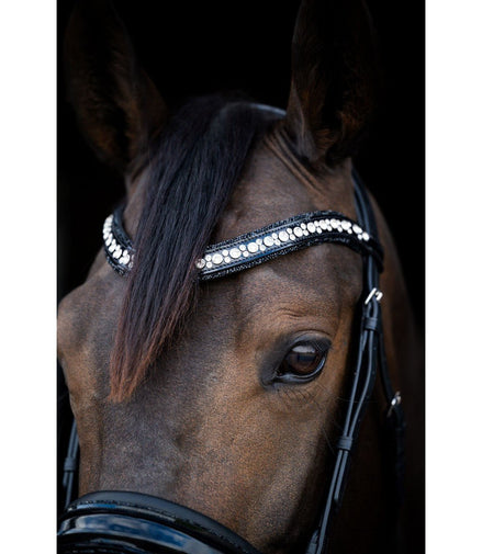 HB Showtime Stockholm Trenshoofdstel Trenshoofdstellen - Maddelin Equestrian HB