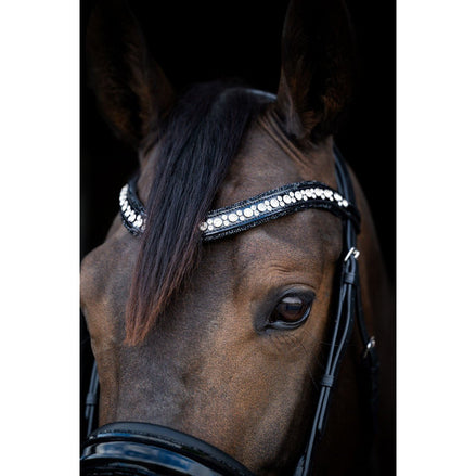 HB Showtime Stockholm Trenshoofdstel Trenshoofdstellen - Maddelin Equestrian HB