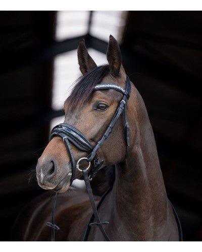 HB Showtime Stockholm Trenshoofdstel Trenshoofdstellen - Maddelin Equestrian HB