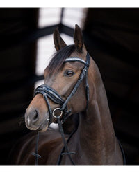 HB Showtime Stockholm Trenshoofdstel Trenshoofdstellen - Maddelin Equestrian HB