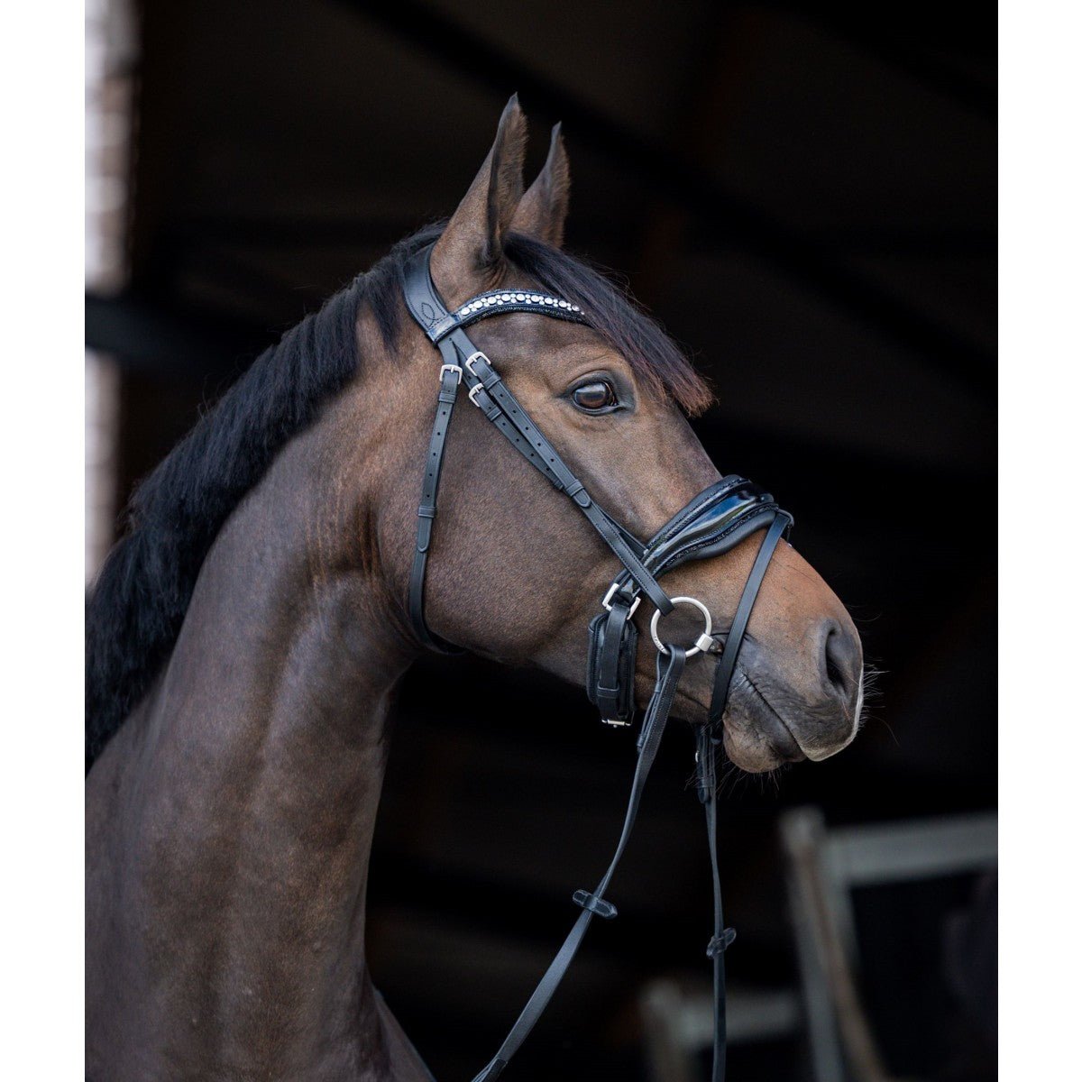 HB Showtime Stockholm Trenshoofdstel Trenshoofdstellen - Maddelin Equestrian HB