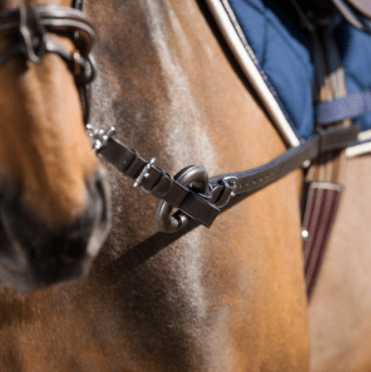 HFI Bijzetteugels "Ring" Longeerbenodigdheden - Maddelin Equestrian HFI