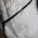 HFI Borsttuig Alba Borstriemen en martingalen - Maddelin Equestrian