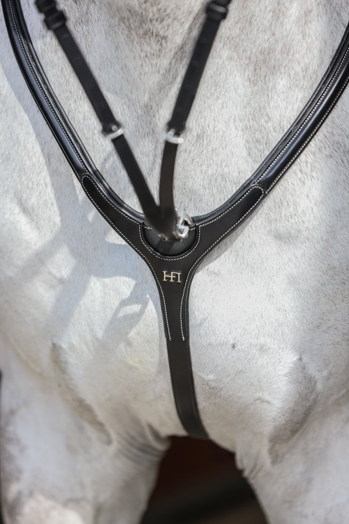 HFI Borsttuig Aosta Borstriemen en martingalen - Maddelin Equestrian