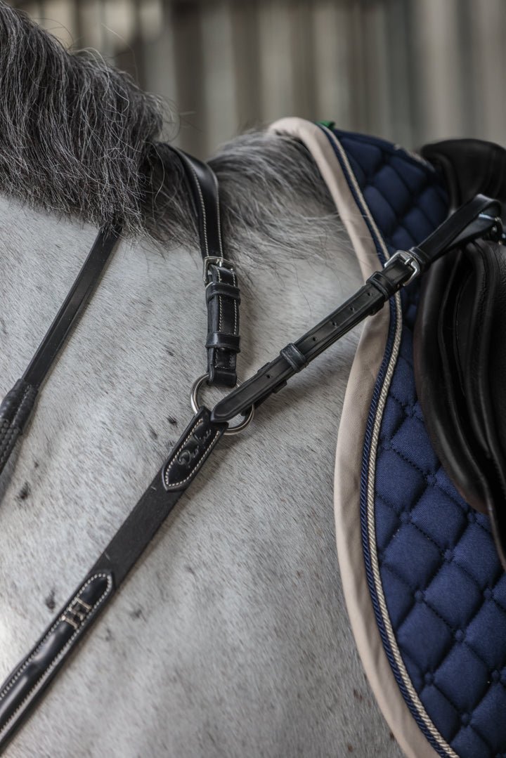 HFI Borsttuig Aosta Borstriemen en martingalen - Maddelin Equestrian