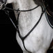 HFI Borsttuig Aosta Borstriemen en martingalen - Maddelin Equestrian