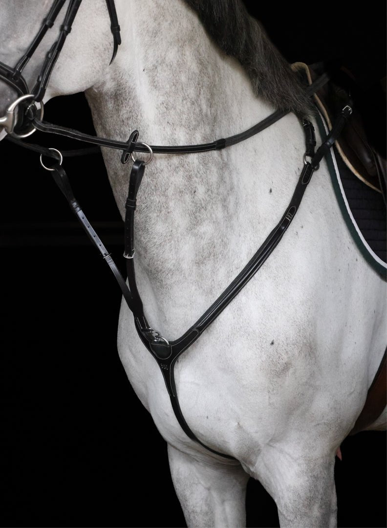 HFI Borsttuig Aosta Borstriemen en martingalen - Maddelin Equestrian