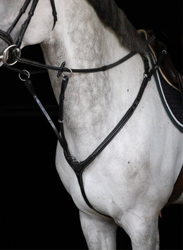 HFI Borsttuig Aosta Borstriemen en martingalen - Maddelin Equestrian