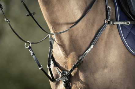 HFI Borsttuig ˜Long Bridge" Borstriemen en martingalen - Maddelin Equestrian HFI