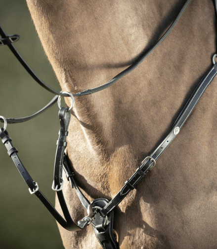 HFI Borsttuig ˜Long Bridge" Borstriemen en martingalen - Maddelin Equestrian HFI