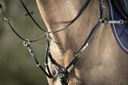 HFI Borsttuig ˜Long Bridge" Borstriemen en martingalen - Maddelin Equestrian HFI