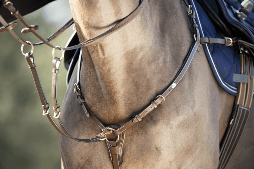 HFI Borsttuig ˜Long Bridge" Borstriemen en martingalen - Maddelin Equestrian HFI