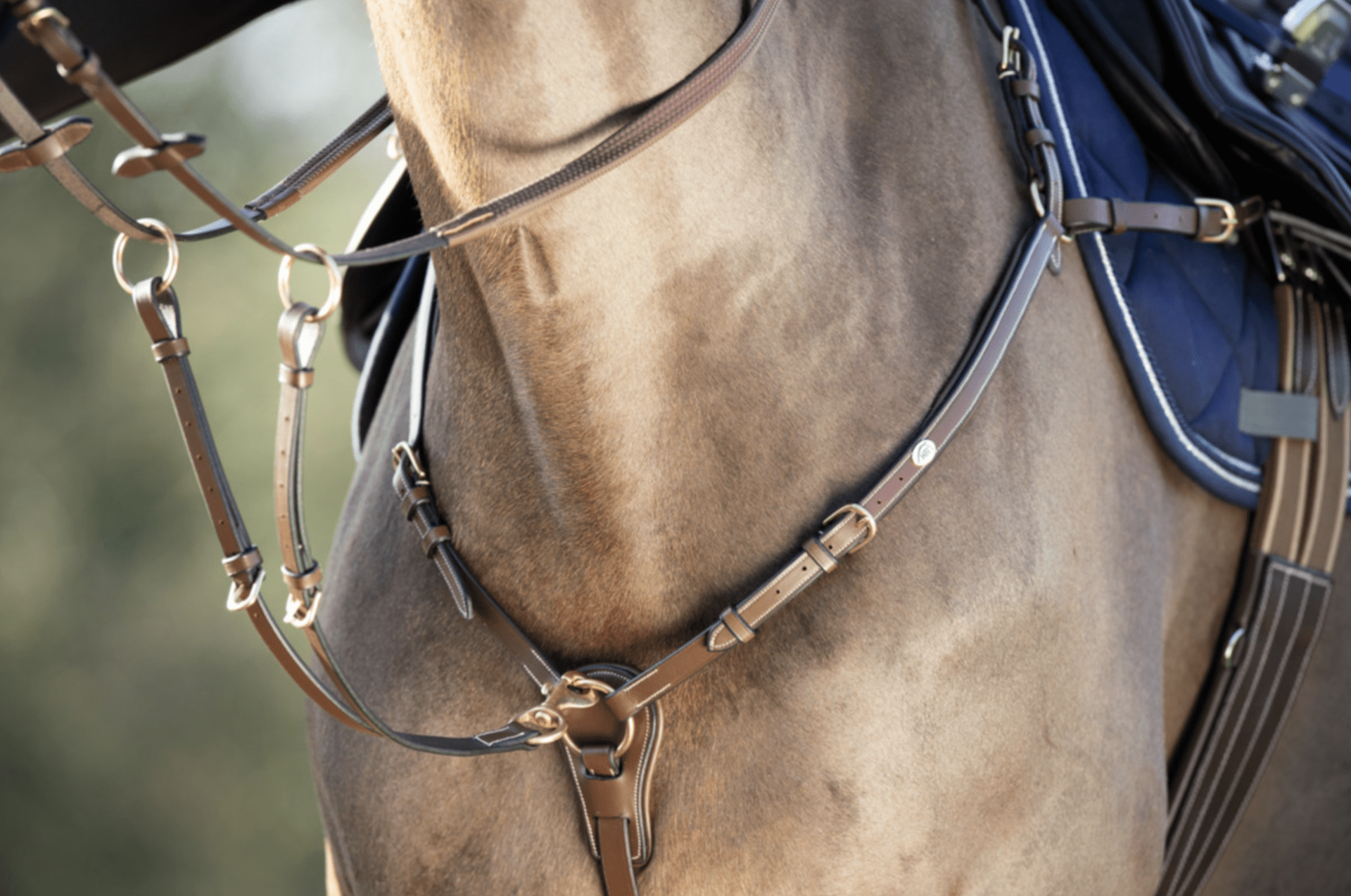 HFI Borsttuig ˜Long Bridge" Borstriemen en martingalen - Maddelin Equestrian HFI