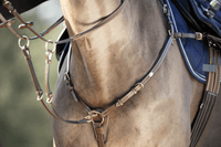 HFI Borsttuig ˜Long Bridge" Borstriemen en martingalen - Maddelin Equestrian HFI