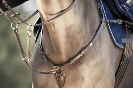 HFI Borsttuig ˜Long Bridge" Borstriemen en martingalen - Maddelin Equestrian HFI