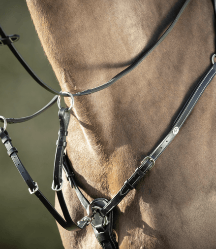 HFI Borsttuig ˜Long Bridge" Borstriemen en martingalen - Maddelin Equestrian HFI