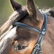 HFI Comfort Hoofdstel Trenshoofdstellen - Maddelin Equestrian HFI
