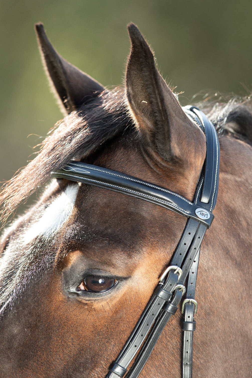 HFI Comfort Hoofdstel Trenshoofdstellen - Maddelin Equestrian HFI