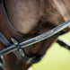 HFI Comfort Hoofdstel Trenshoofdstellen - Maddelin Equestrian HFI