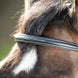 HFI Comfort Hoofdstel Trenshoofdstellen - Maddelin Equestrian HFI