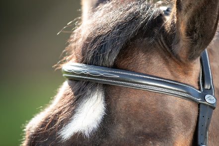 HFI Comfort Hoofdstel Trenshoofdstellen - Maddelin Equestrian HFI