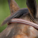 HFI Comfort Hoofdstel Trenshoofdstellen - Maddelin Equestrian HFI