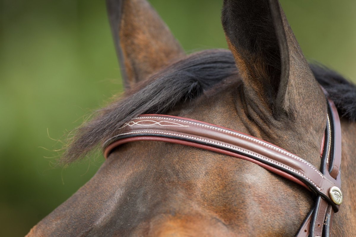 HFI Comfort Hoofdstel Trenshoofdstellen - Maddelin Equestrian HFI