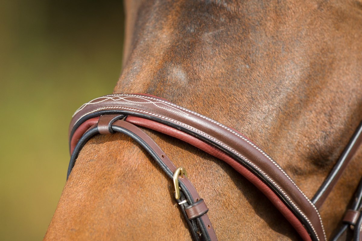 HFI Comfort Hoofdstel Trenshoofdstellen - Maddelin Equestrian HFI