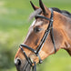 HFI Comfort Hoofdstel Trenshoofdstellen - Maddelin Equestrian HFI
