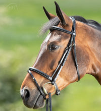 HFI Comfort Hoofdstel Trenshoofdstellen - Maddelin Equestrian HFI