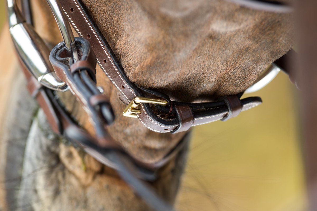 HFI Comfort Hoofdstel Trenshoofdstellen - Maddelin Equestrian HFI