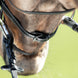 HFI Comfort Hoofdstel Trenshoofdstellen - Maddelin Equestrian HFI