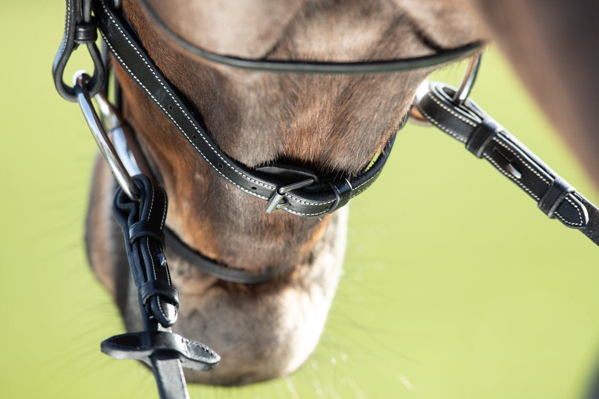 HFI Comfort Hoofdstel Trenshoofdstellen - Maddelin Equestrian HFI