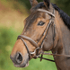 HFI Comfort Hoofdstel Trenshoofdstellen - Maddelin Equestrian HFI