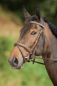 HFI Comfort Hoofdstel Trenshoofdstellen - Maddelin Equestrian HFI