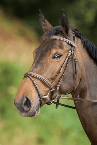 HFI Comfort Hoofdstel Trenshoofdstellen - Maddelin Equestrian HFI