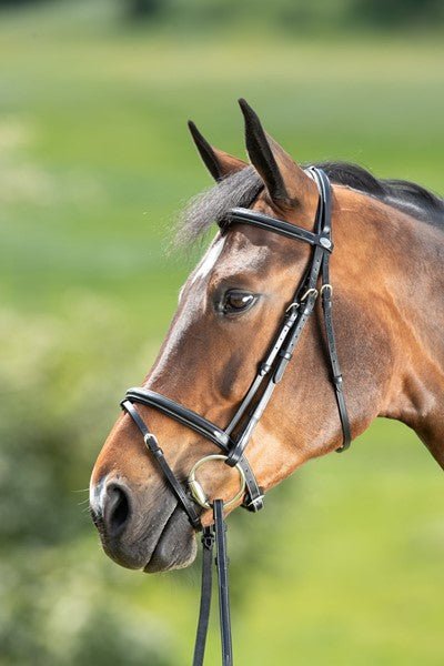 HFI Comfort Hoofdstel Trenshoofdstellen - Maddelin Equestrian HFI