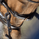HFI Elegant Hoofdstel Trenshoofdstellen - Maddelin Equestrian HFI