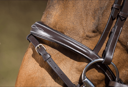 HFI Elegant Hoofdstel Trenshoofdstellen - Maddelin Equestrian HFI
