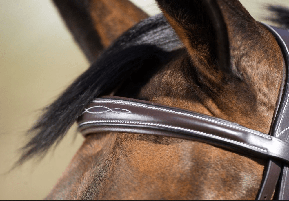 HFI Elegant Hoofdstel Trenshoofdstellen - Maddelin Equestrian HFI