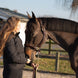HFI Gevlochten Lederen Halster Lederen - Maddelin Equestrian HFI