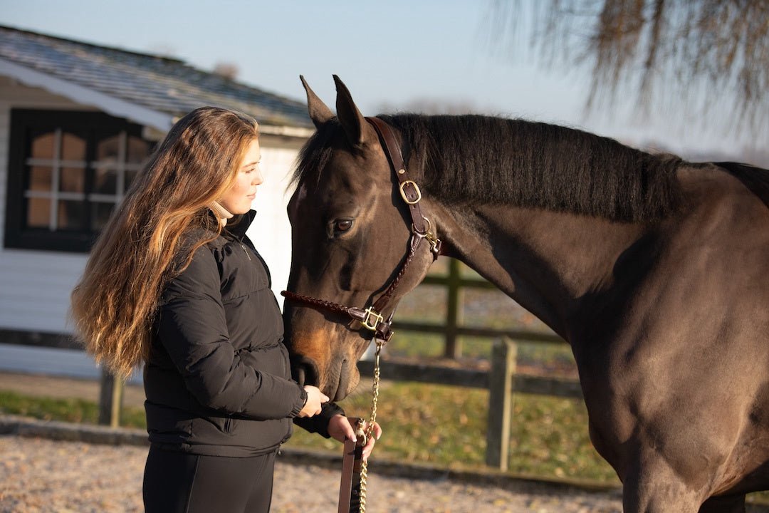 HFI Gevlochten Lederen Halster Lederen - Maddelin Equestrian HFI