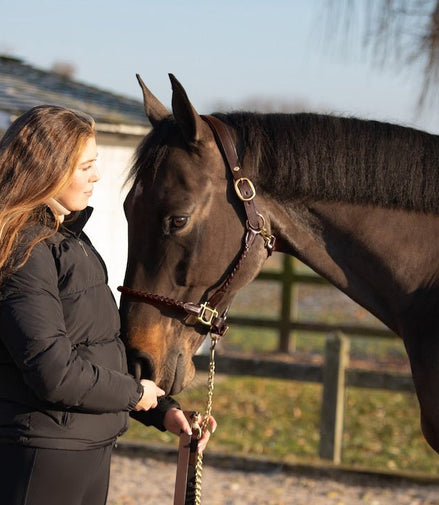 HFI Gevlochten Lederen Halster Lederen - Maddelin Equestrian HFI