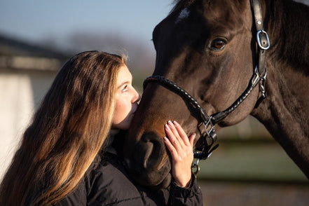 HFI Gevlochten Lederen Halster Lederen - Maddelin Equestrian HFI