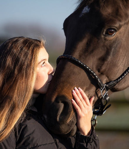 HFI Gevlochten Lederen Halster Lederen - Maddelin Equestrian HFI