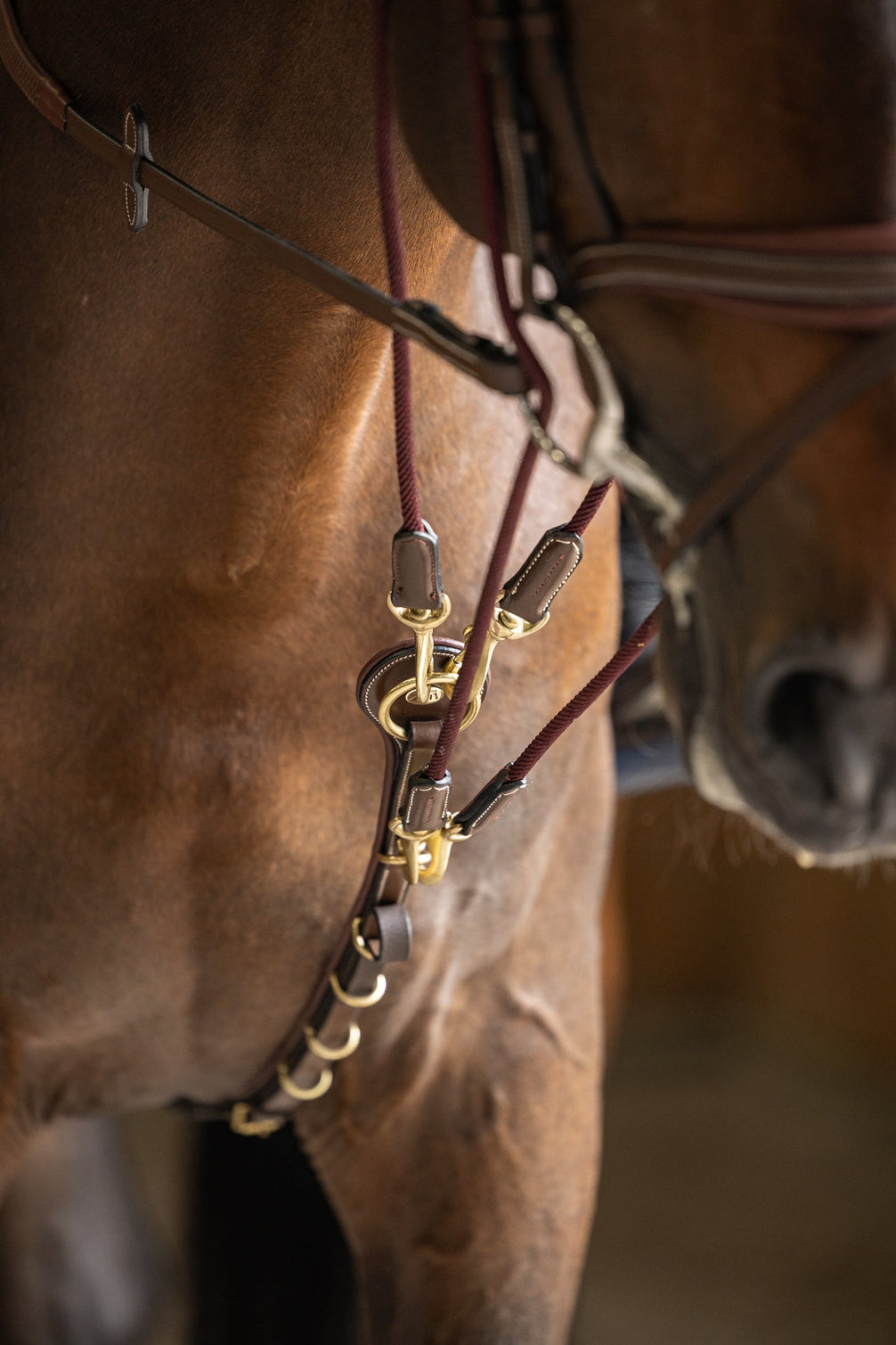 HFI Gogue Hulpteugels - Maddelin Equestrian HFI
