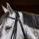 HFI Gogue Hulpteugels - Maddelin Equestrian HFI