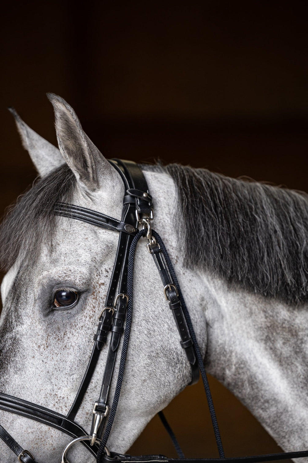 HFI Gogue Hulpteugels - Maddelin Equestrian HFI
